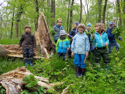 „Wald"