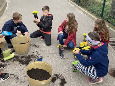 Gummistiefel bepflanzen